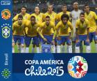 Brezilya Copa America 2015